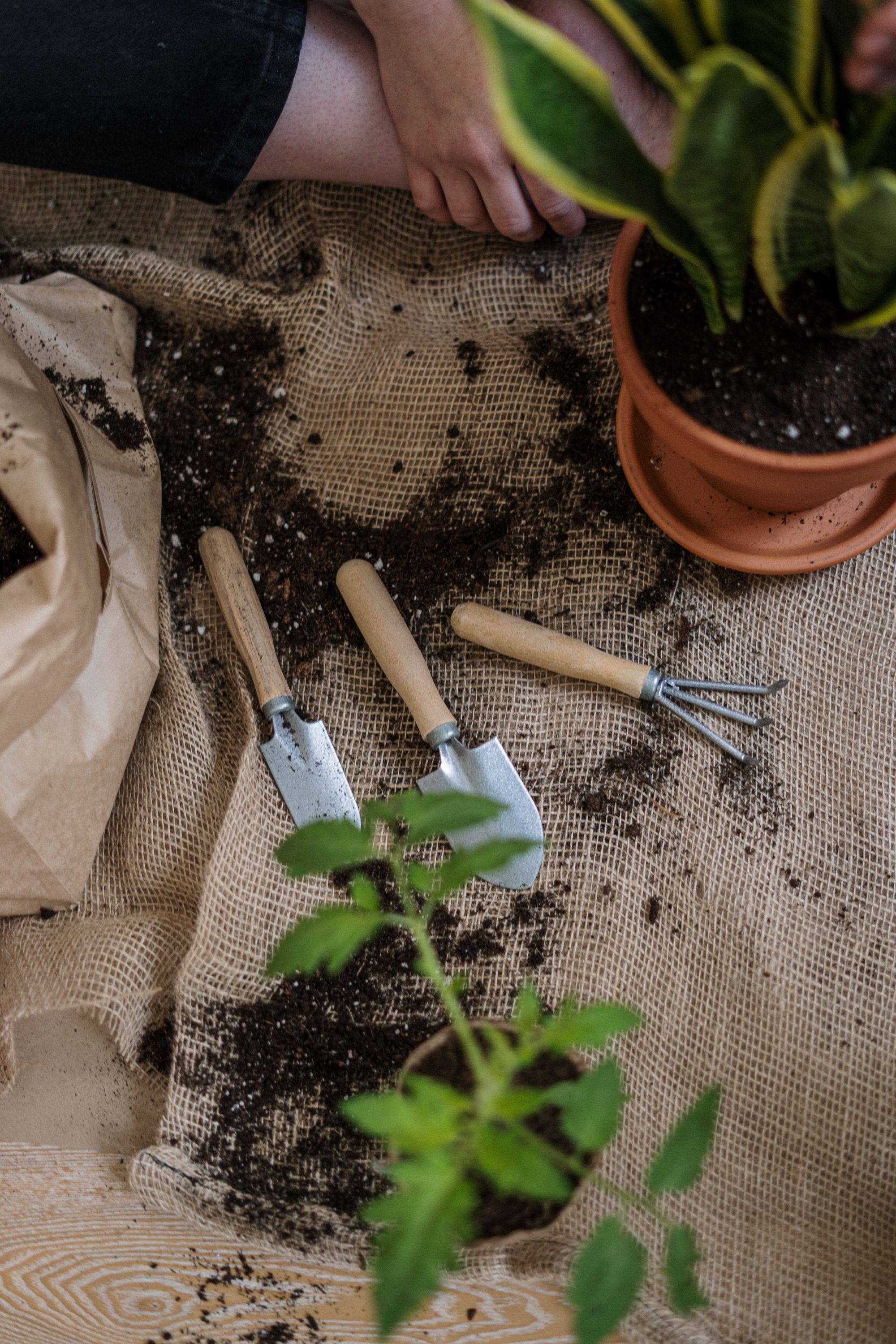 Garden Care